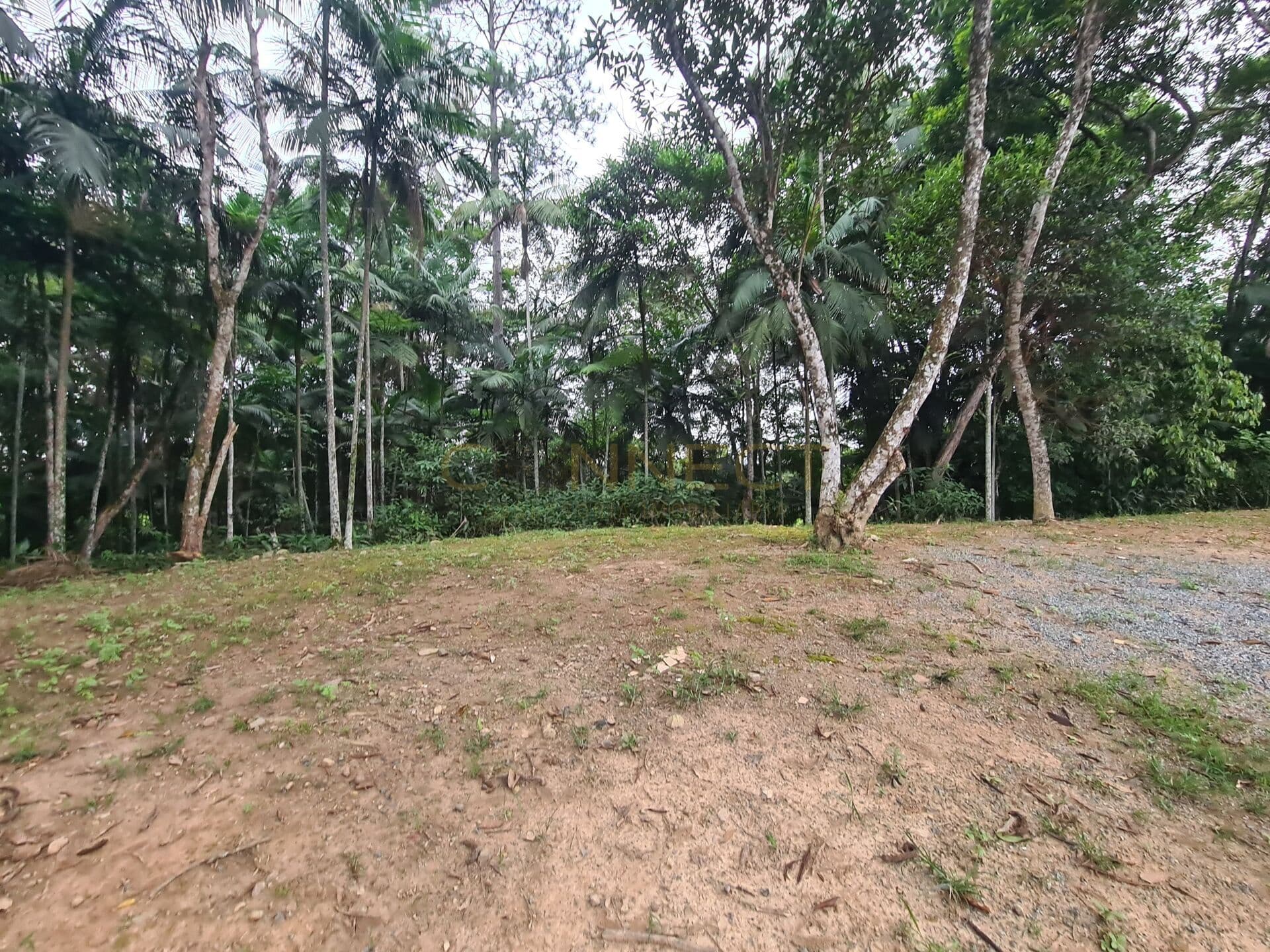 Terreno com 18.460m2