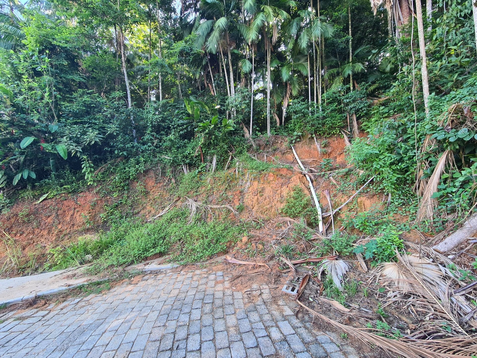 Terreno à venda no bairro Velha em Blumenau/SC