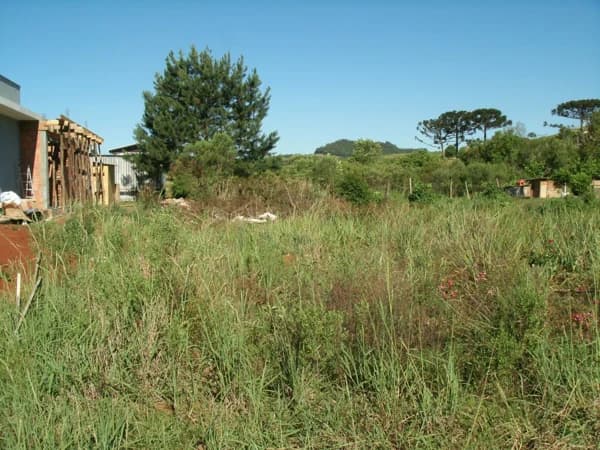 Terreno Lote para Venda em Rio das Pedras Videira-SC