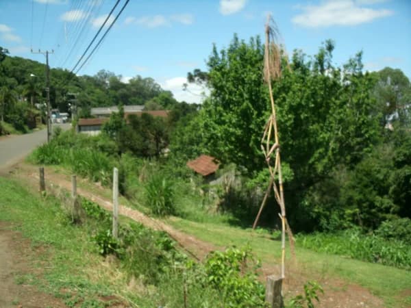 Terreno Lote para Venda em Panazzolo Videira-SC