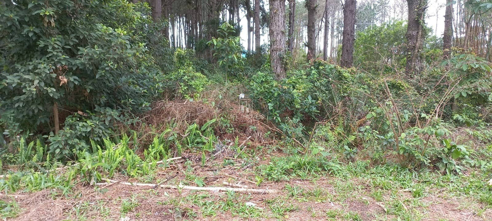 Terreno 265m² à venda em Garopaba/SC no Ambrósio com escritura e financiamento
