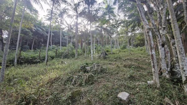 Terreno 630m² à venda no Siriú em Garopaba com vista e perto da praia