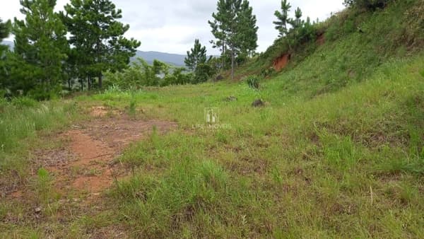 Terreno 2.640m² à venda em Garopaba/SC com escritura e viabilidade de construção