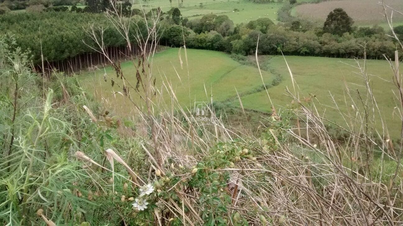 Área 12,8 hectares à venda em Bom Retiro/SC na Serra Catarinense com escritura