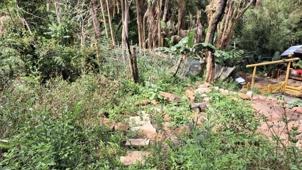 Lote/Terreno em Garopaba - Encantada