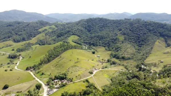 Área Rural com 1 Hectare em Região Alta | Eucaliptos e Água no Local