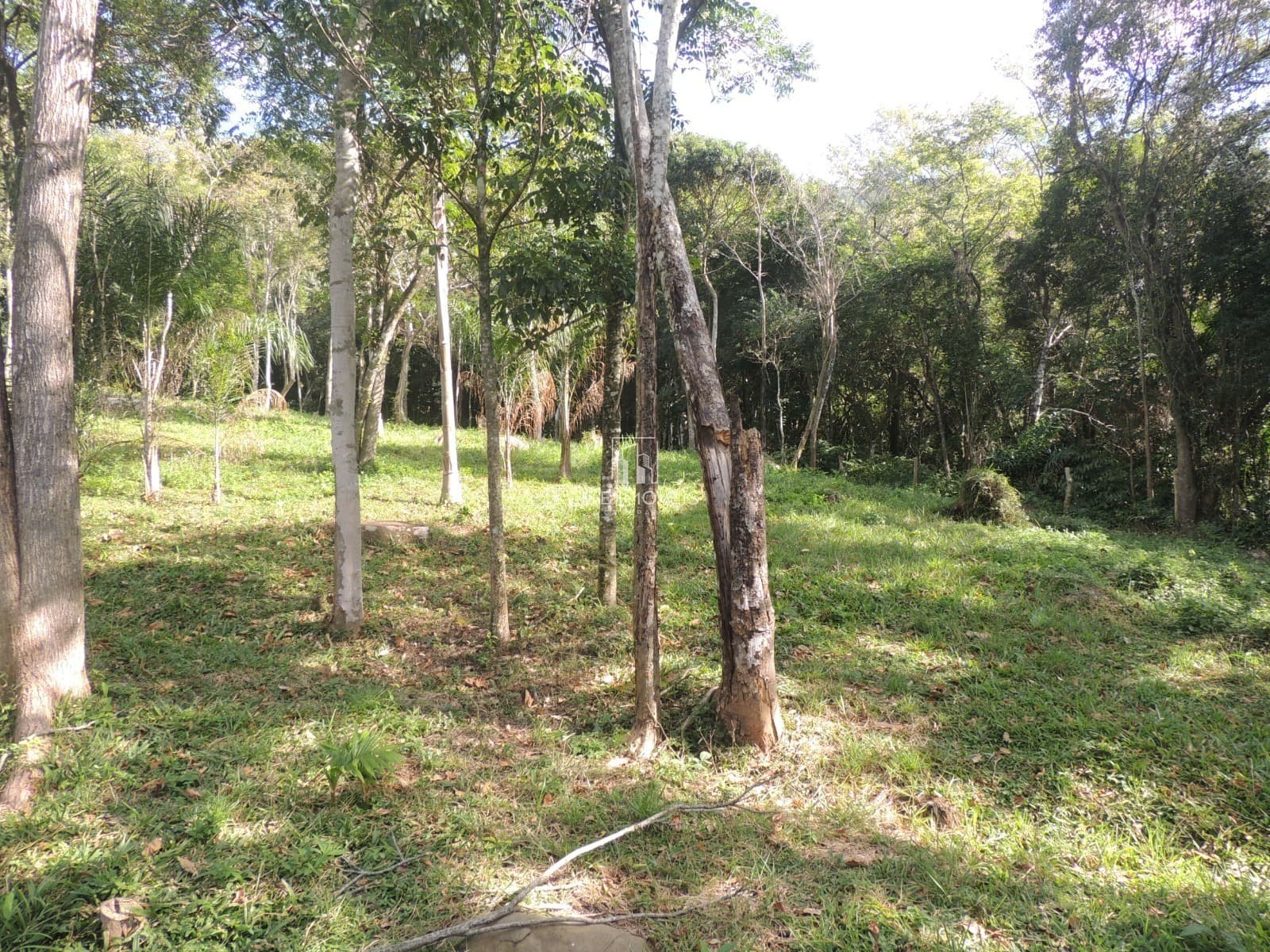 Terreno à Venda em Garopaba no Macacu – 20.000 m² com Vista para Lagoa, Mar e Cachoeira