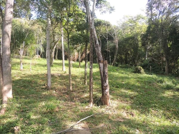 Terreno à Venda em Garopaba no Macacu – 20.000 m² com Vista para Lagoa, Mar e Cachoeira
