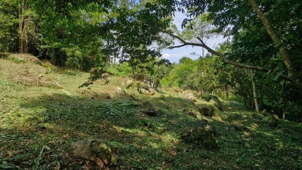 Terreno à Venda em Garopaba no Macacu – 3.367 m² em Meio à Natureza com Potencial de Investimento