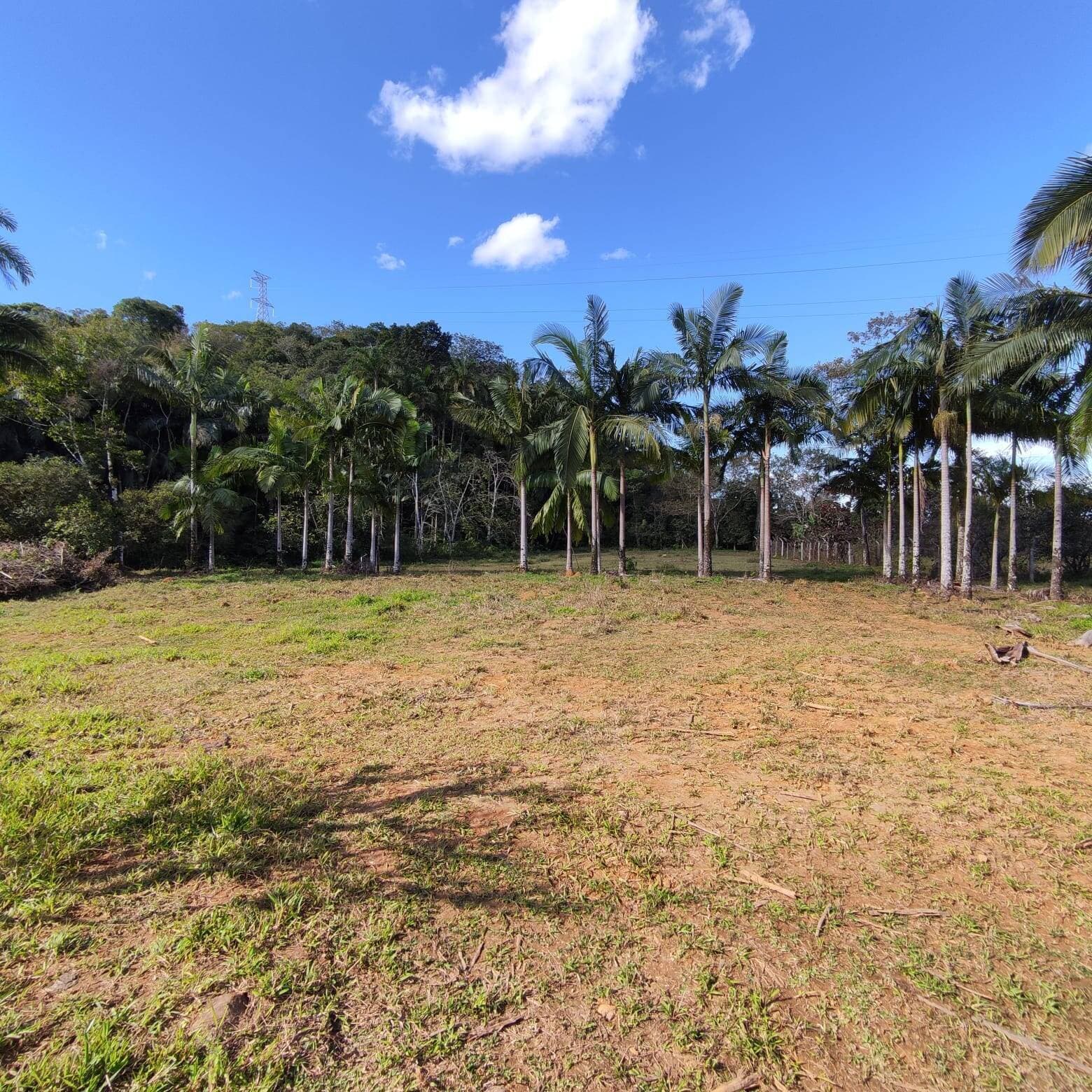 Terreno Rural à venda em Joinville, bairro Pirabeiraba