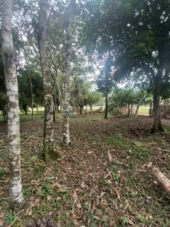 Lote/Terreno em Tijucas - Oliveira