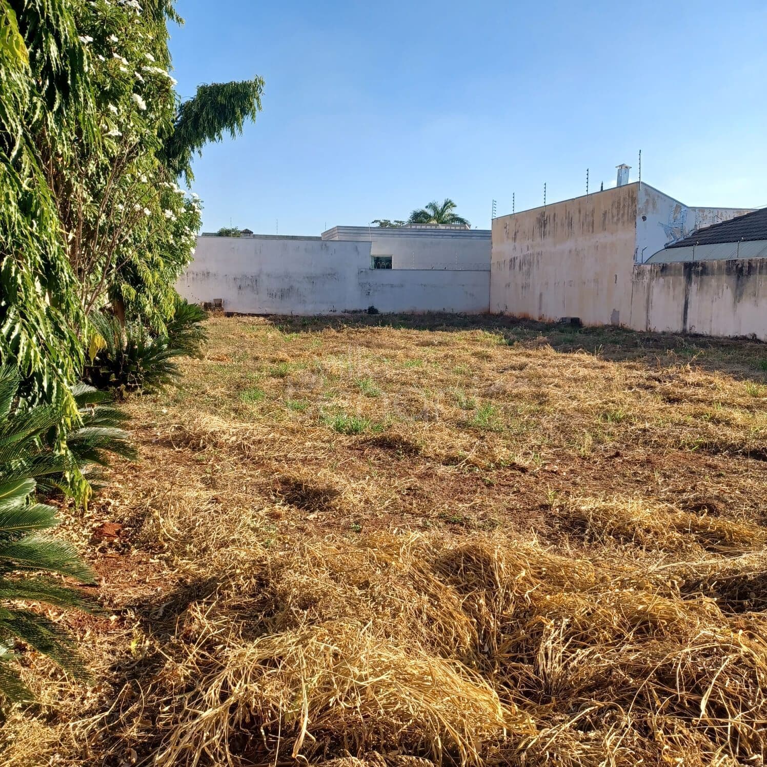 Terreno à Venda no Mançor Daud, São José de Rio Preto!
