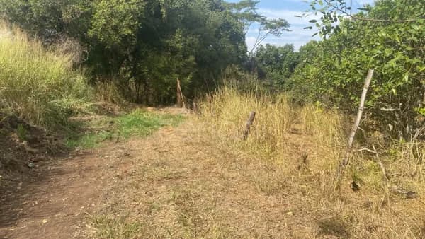 Área à venda em Engenheiro Schmitt, São José do Rio Preto/SP