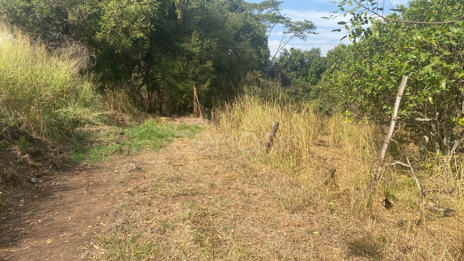 Área à venda em Engenheiro Schmitt, São José do Rio Preto/SP
