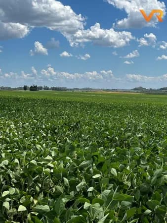 Fazenda/Sítios/Chácaras em Cachoeira do Sul - Drews