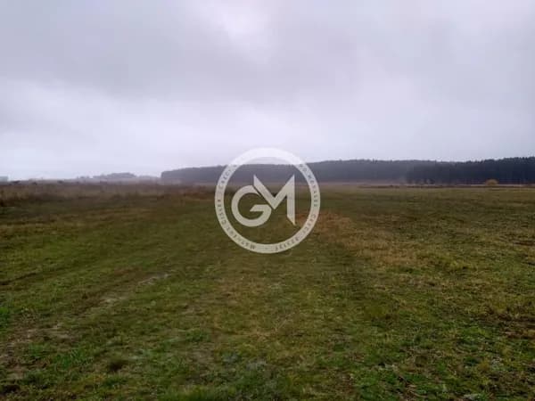Fazenda/Sítios/Chácaras em Santana do Livramento - Área Rural de Santana do Livramento