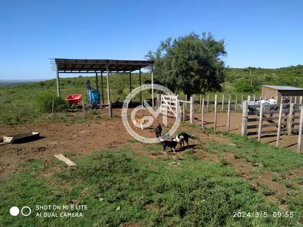 Propriedade à venda em Quaraí