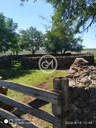 Estância à venda em Santana do Livramento