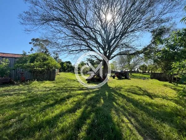 Área Rural 5ha - 800metros da BR293