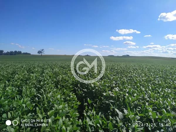 Propriedade à venda para agricultura