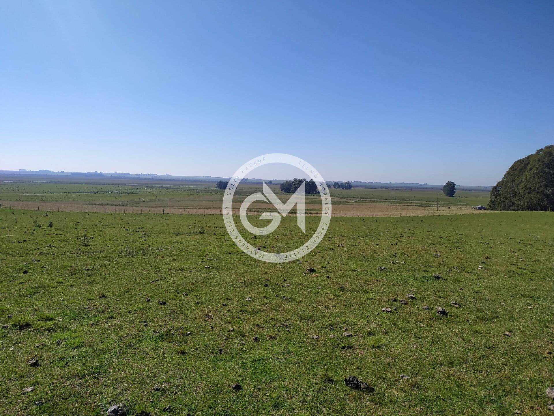 Fazenda/Sítios/Chácaras em Santana do Livramento - Área Rural de Santana do Livramento