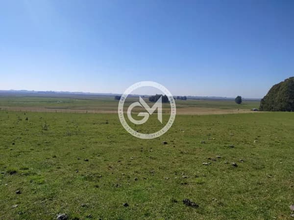 Fazenda/Sítios/Chácaras em Santana do Livramento - Área Rural de Santana do Livramento