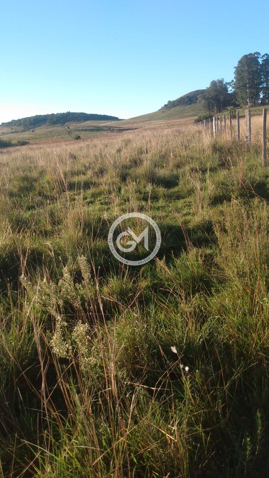 Chácara em Prado, Santana do Livramento/RS
