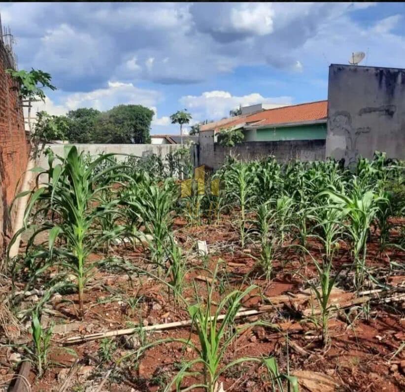 Lote/Terreno em Londrina - Jardim Portal de Versalhes 1