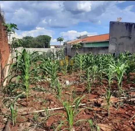 Lote/Terreno em Londrina - Jardim Portal de Versalhes 1
