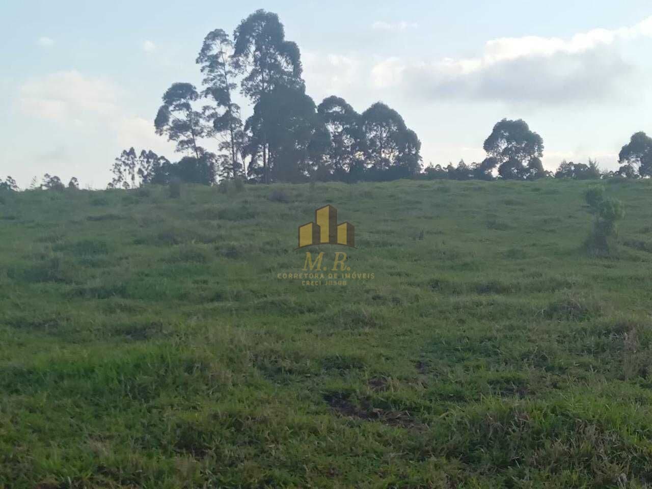 Fazenda/Sítios/Chácaras em Tamarana - Centro