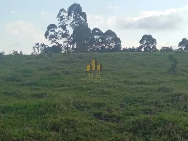 Fazenda/Sítios/Chácaras em Tamarana - Centro