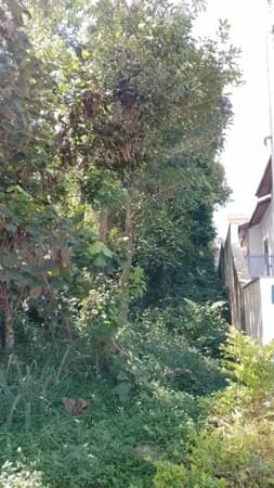 Terreno à venda, 400 - Condomínio Aruã Lagos - Mogi das Cruzes/SP