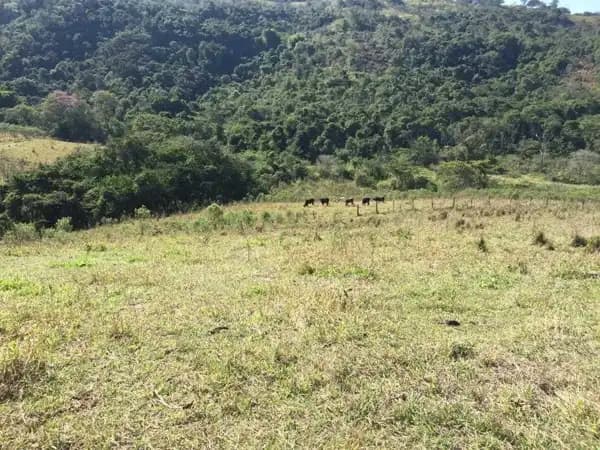 Sítio à venda no bairro Centro em Vera Cruz/SP