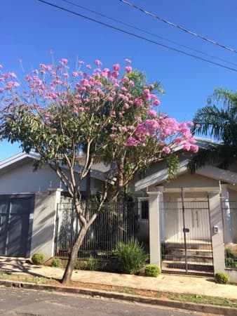 Casa à venda no bairro Jardim Maria Izabel em Marília/SP