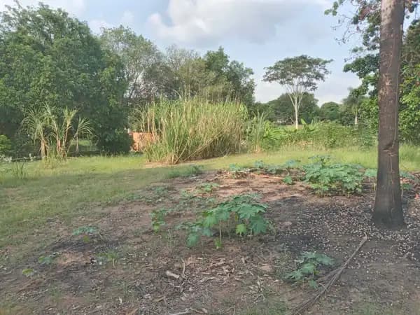 Chácara à venda no bairro Padre Nóbrega em Marília/SP