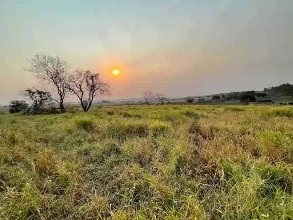 Sítio à venda no bairro Área Rural de Marília em Marília/SP