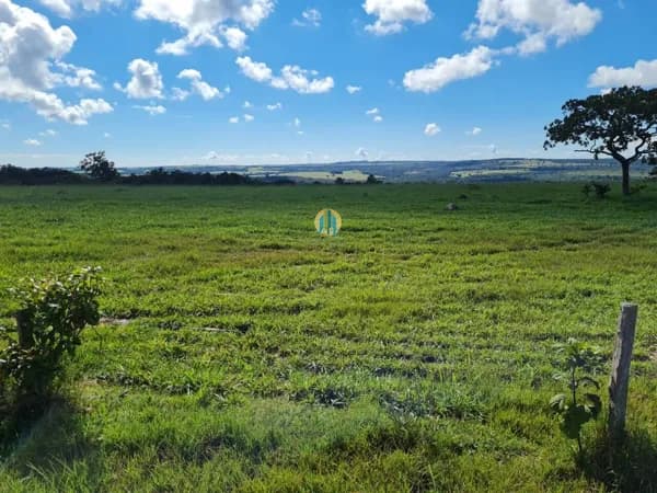 Fazenda/Sítios/Chácaras em Caiapônia - Centro