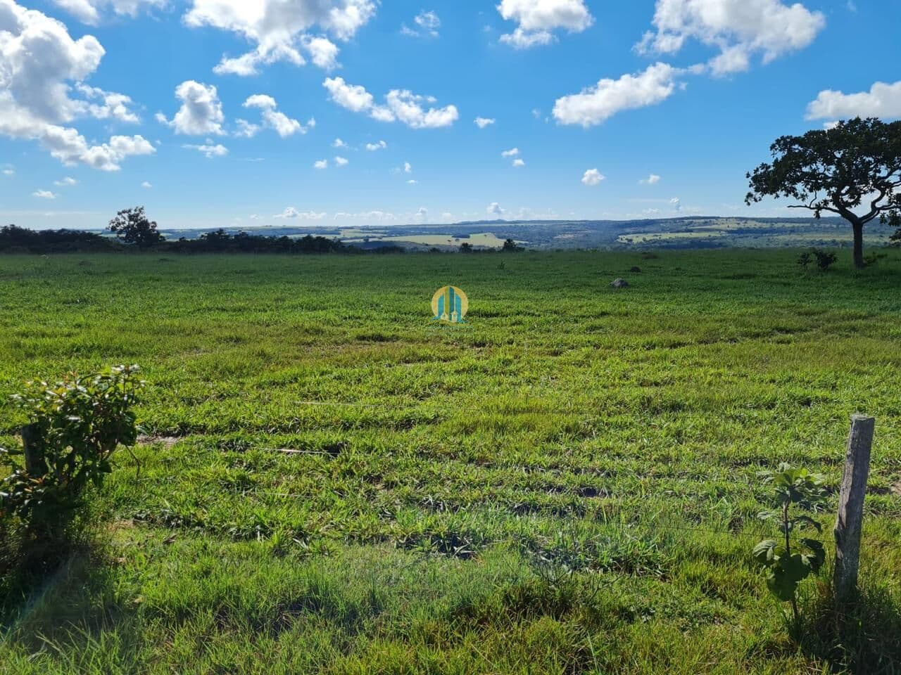 Fazenda/Sítios/Chácaras em Caiapônia - Centro