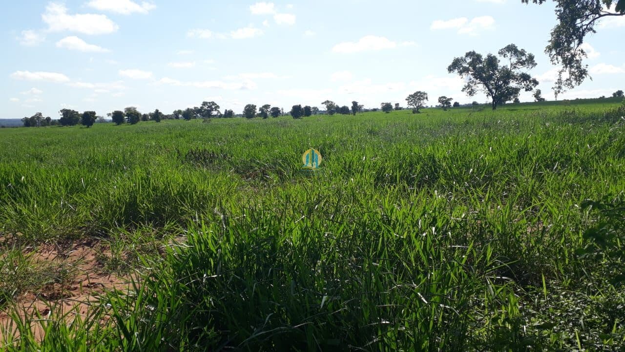 Fazenda/Sítios/Chácaras em Ribas do Rio Pardo - Centro