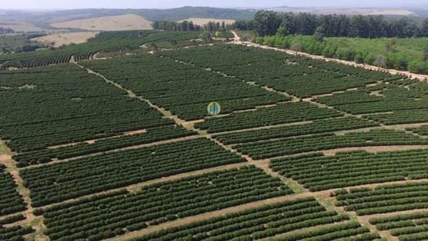Fazenda/Sítios/Chácaras em Uberlândia - Patrimônio