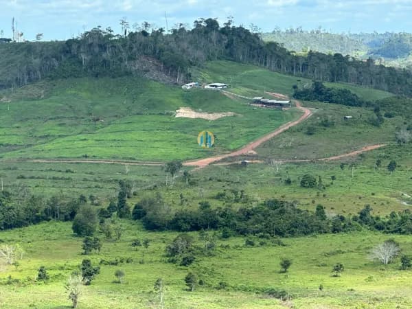 Fazenda/Sítios/Chácaras em Santa Luzia do Pará - Centro