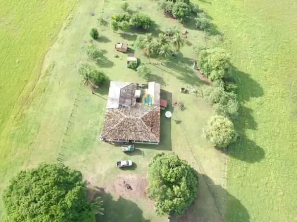 Excelente Fazenda/MT