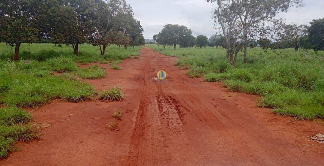 Fazenda/Sítios/Chácaras em Silvanópolis - Centro