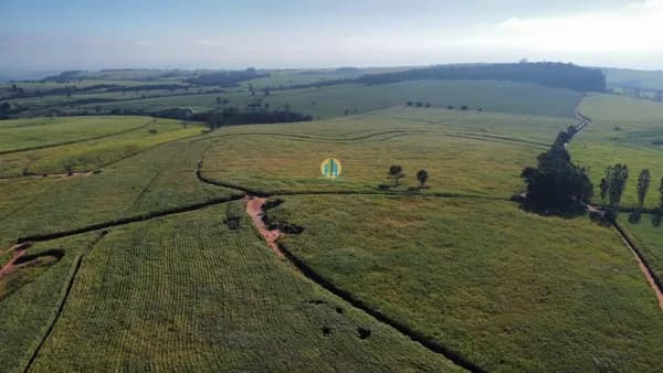 Fazenda/Sítios/Chácaras em Tambaú - Centro