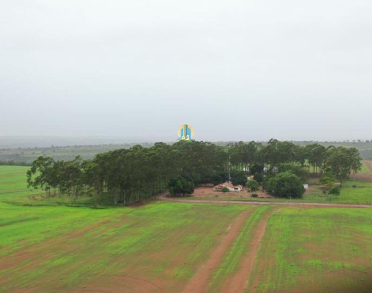 Fazenda/Sítios/Chácaras em Nova Xavantina - Centro