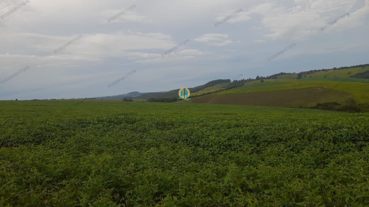 Fazenda/Sítios/Chácaras em Sete Lagoas - Centro