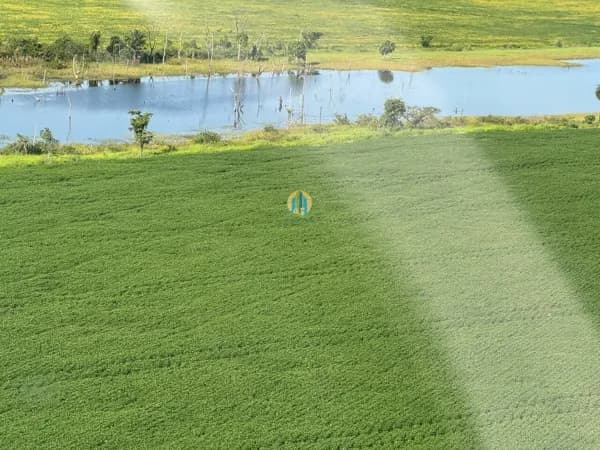 Fazenda/Sítios/Chácaras em Nova Crixás - Centro