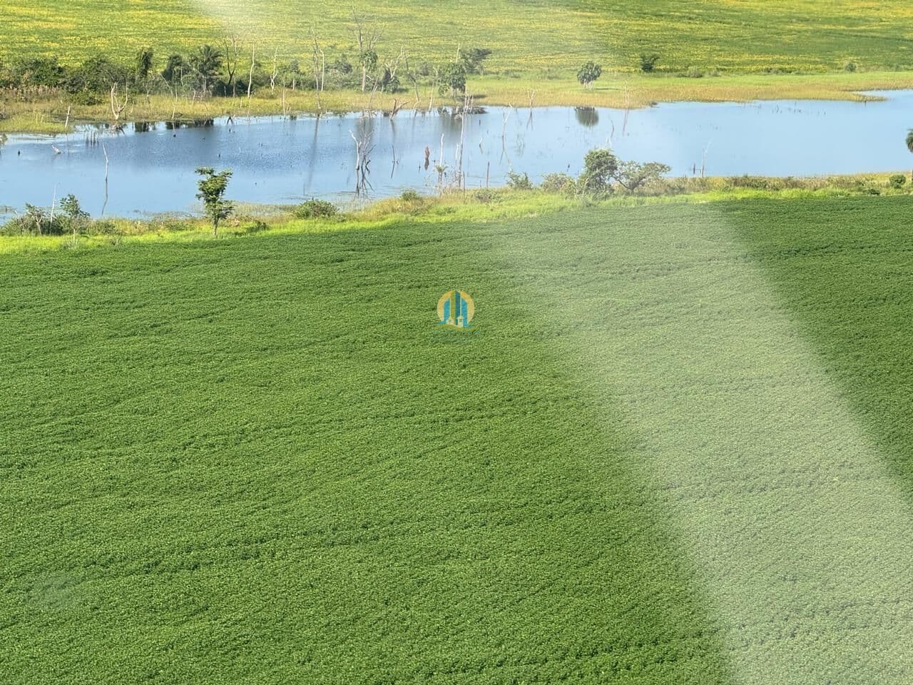 Fazenda/Sítios/Chácaras em Nova Crixás - Centro