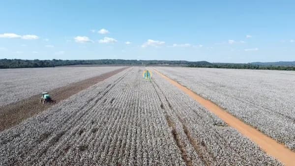 Fazenda/Sítios/Chácaras em São José do Rio Claro - Centro