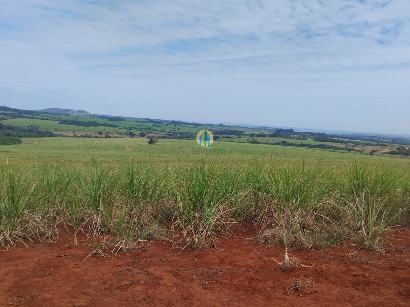 Fazenda/Sítios/Chácaras em Cajuru - Centro